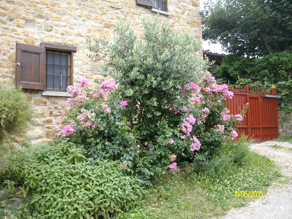 Serramazzoni B&B San Nicola المظهر الخارجي الصورة