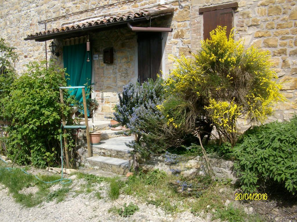 Serramazzoni B&B San Nicola المظهر الخارجي الصورة