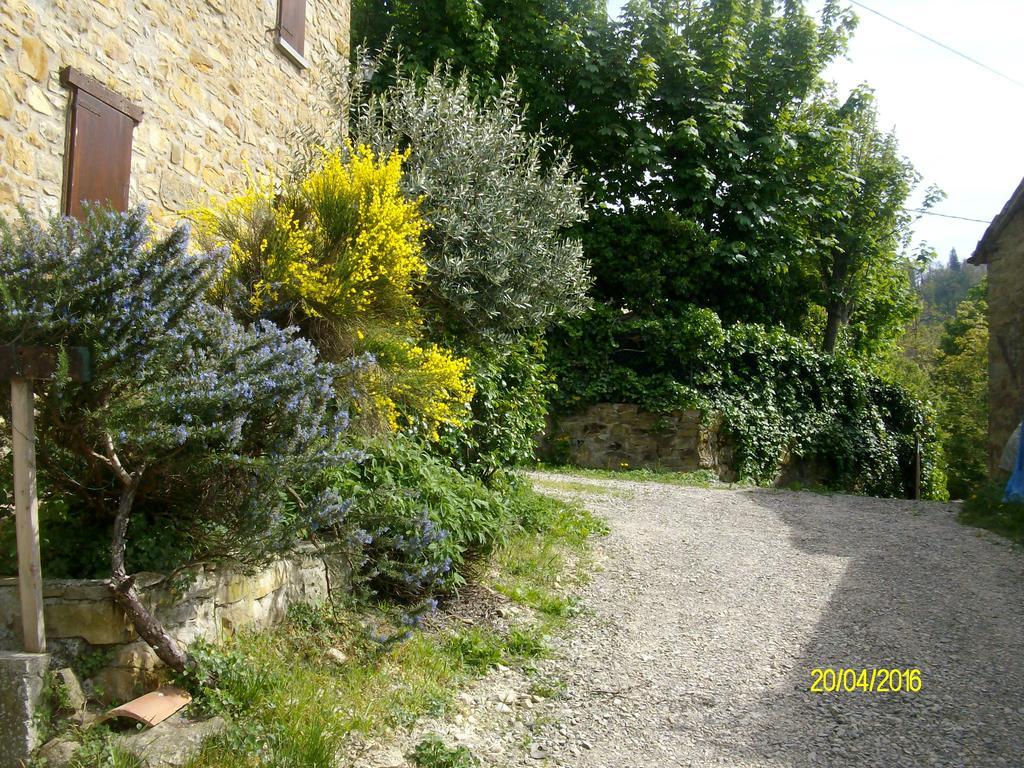 Serramazzoni B&B San Nicola المظهر الخارجي الصورة